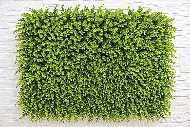 《怪物猎人 ：崛起》 发布活动任务  